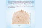 Energy generator rose quartz orgone pyramid