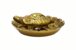 brass handicraft tortoise with plate