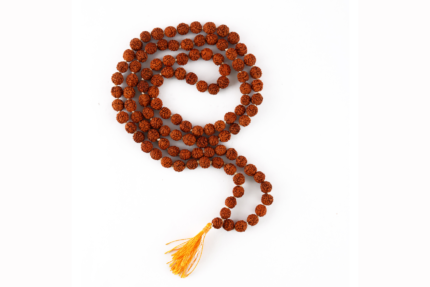 Tibetan 108 Beads Shiva Rudraksha Jaap Mala Necklace