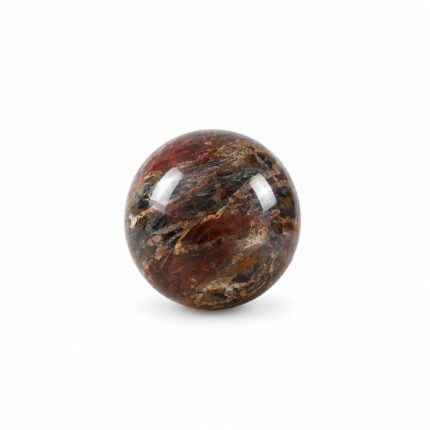Aatm Petrified Wood Stone Ball, Polished Gemstone Sphere for Home Decor & Collection